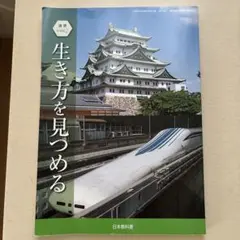 Item thumbnail for item 5629ce43-1311-4134-8126-31a90089f850