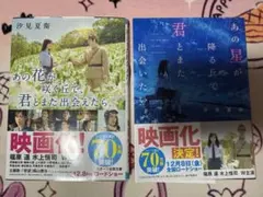 Item thumbnail for item afa87fae-1a71-4096-a6f1-6f9b30aa80e8