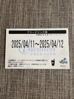 ディズニー　バケーションパッケージ　フリードリンク券　8/12-8/13 ディズニークリスマスドリンクバケパ特典バケーションパッケージ