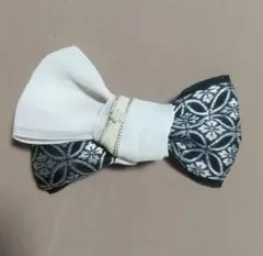 Item thumbnail for item 28c5c752-ed71-4e39-a373-1c88384e1bcd