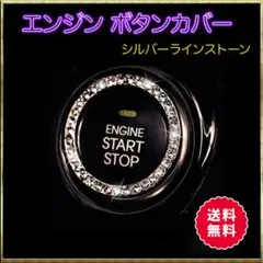 Item thumbnail for item 61ffd11c-2656-4f75-aafb-a4f19277a33b