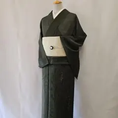【美品】正絹夏物 絽小紋 裄68 夏着物 2026年最新】夏着物 正絹裄68の人気アイテム - メルカリ