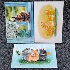 しらとあきこ⭐︎写真全部セット 2026年最新】しらとあきこの人気アイテム - メルカリ