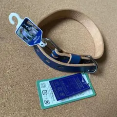 Item thumbnail for item 46f6e53c-12a3-4057-81aa-8ce3db04e46c