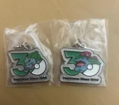 ポケモン 30周年 メタルチャームマスコット 2個セット