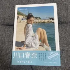 直筆サイン入り カレンダー 15 川口春奈 新品未開封 直筆サイン入り カレンダー 15 川口春奈 新品未開封 2025年最新