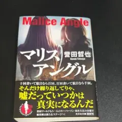 マリスアングル