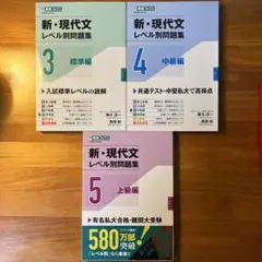 【極美品/改訂版】東進 新・現代文レベル別問題集3・4・5 3冊セット
