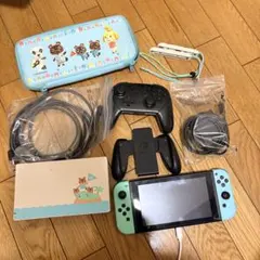 【いももち様専用】Nintendo Switch あつまれどうぶつの森 限定デザ