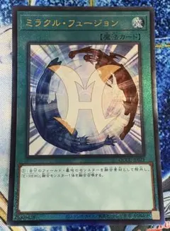 2025年最新】ミラクルフュージョン レリーフの人気アイテム