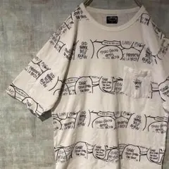 ステューシー stussy ボーダー柄 OLD 吹き出し柄 袖長め Mぐらい