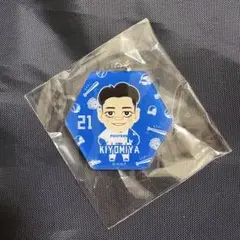 北海道日本ハムファイターズ 清宮幸太郎 アクリルスタンド - メルカリ