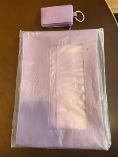 BTS JAPANESE FANCLUB 特典　キーケース　バックインバック