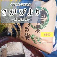 令和7年 佐賀県産 さがびより 農家直送 5kgのサムネイル
