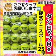 【定価￥８，２５０⭐️即日完売】ダンロップMX硬式テニスボール25球①