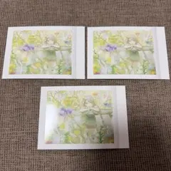 プロセカ ぱしゃこれ 志歩 セット