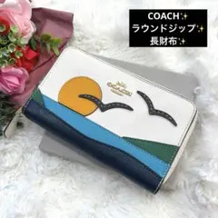 レア　COACH コーチ 　海 ビーチ　ラウンドジップ　長財布のサムネイル
