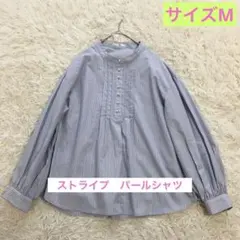 index パール釦 ピンタック 長袖ブラウス ストライプ M ブルー　ラメのサムネイル