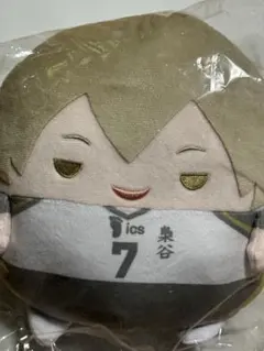 ハイキュー‼︎ ぬいくじ　C賞ふわコロりん　Mサイズ　木葉秋紀