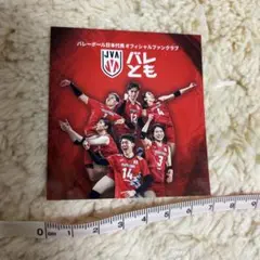 sou2917yoh様 リクエスト 2点 まとめ商品