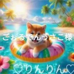 ごぉるでんうさこ様確認用
