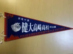 第93回全国高校野球選手権大会 健大高崎高校 記念ペナント