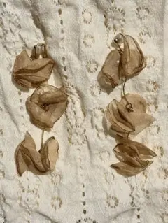 ベージュ花形イヤリング