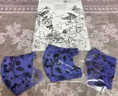 Item thumbnail for item 162081bb-4d23-4a84-bf29-f9a594571a5f