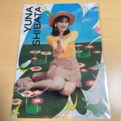 2025年最新】柴田柚菜 クリアファイルの人気アイテム - メルカリ