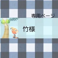 竹様 リクエスト 4点 まとめ商品