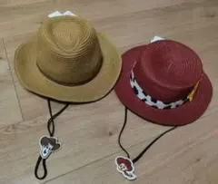 トイストーリー ジェシー UV ハット 新品 アースミュージック
