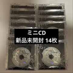 &TEAM Mark on Me ミニCD 新品未開封 14枚セット