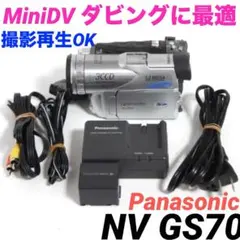 2026年最新】NV-GS70の人気アイテム - メルカリ