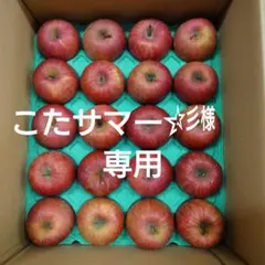 4月末【こたサマー☆彡様専用】