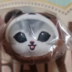にゃんぱんつ！ぬいぐるみシュシュ　　たぬきにゃん