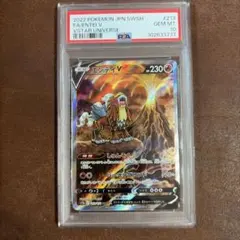 エンテイV SAR S12a VSTARユニバース 213/172 PSA10