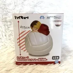 2026年最新】すやすやルームライト 孤爪研磨の人気アイテム - メルカリ