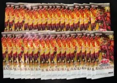 2026年最新】BLAZING DOMINIONの人気アイテム - メルカリ