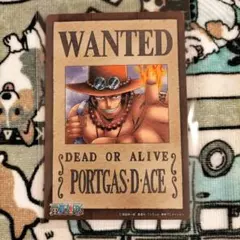 One Piece Portgas D. Ace Wanted Magnet
