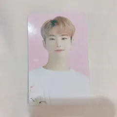 SEVENTEEN SVT セブチ ホシ ランダム トレカ