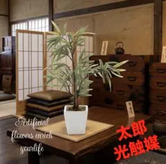 光触媒　人工観葉植物　フェイクグリーン　ウォールグリーン　黒竹35のサムネイル
