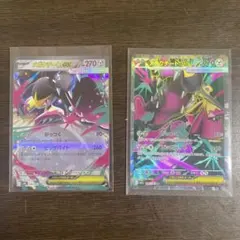 メガクチートex SR RR 2枚セット