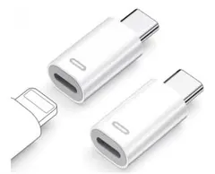 Lightningライトニング　タイプC typeC 変換　2個セット