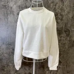 Item thumbnail for item 65cb63bc-5ac3-4ac3-9e45-1c4970e82c19