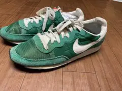 NIKE　CHALLENGER チャレンジャー　 グリーン ランニングシューズ