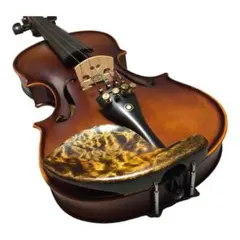 Item thumbnail for item d7ee882f-e3cc-463f-9831-8a0721d34483