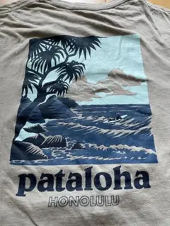 patagoniaパタロハ Tシャツ Sサイズ