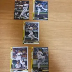 Item thumbnail for item 4c8468a2-a519-403c-a674-2e59f5b81dde