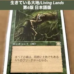 MTG 新緑の女魔術師 7版 日本語 初版 Foil Foil】《新緑の女魔術師/Verduran Enchantress》[7ED] 緑R | 日本最大