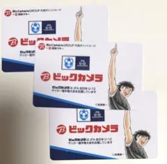 キャプテン翼　ビックカメラオープン記念 日向小次郎 限定カード３枚セット